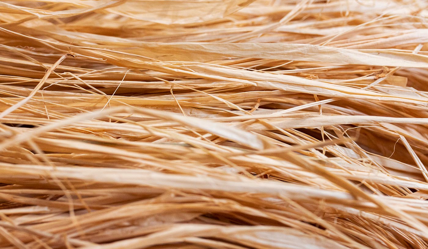 Raffia